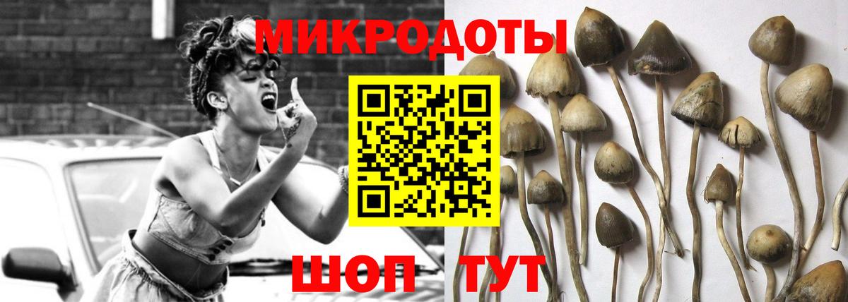 Псилоцибиновые грибы Psilocybine cubensis  Вход с VPN  Новочебоксарск  Псилоцибиновые грибы MAGIC MUSHROOMS 