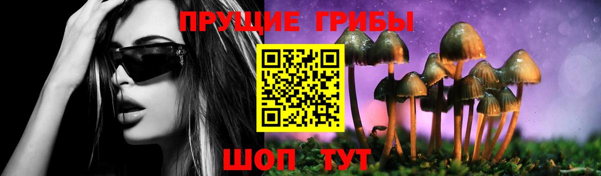 Галлюциногенные грибы GOLDEN TEACHER Новочебоксарск